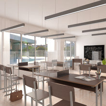 Laden Sie das Bild in den Galerie-Viewer, Trennwand / Spuckschutz PLEXIGLAS klar Aufsteller - Caretec Germany - Plexi, Trennwände