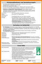 Laden Sie das Bild in den Galerie-Viewer, 3x 250 ml Desinfektionsmittel Hand &amp; Haut, wirksam gegen behüllte Viren - Caretec Germany - Desinfektionsmittel (Hände)
